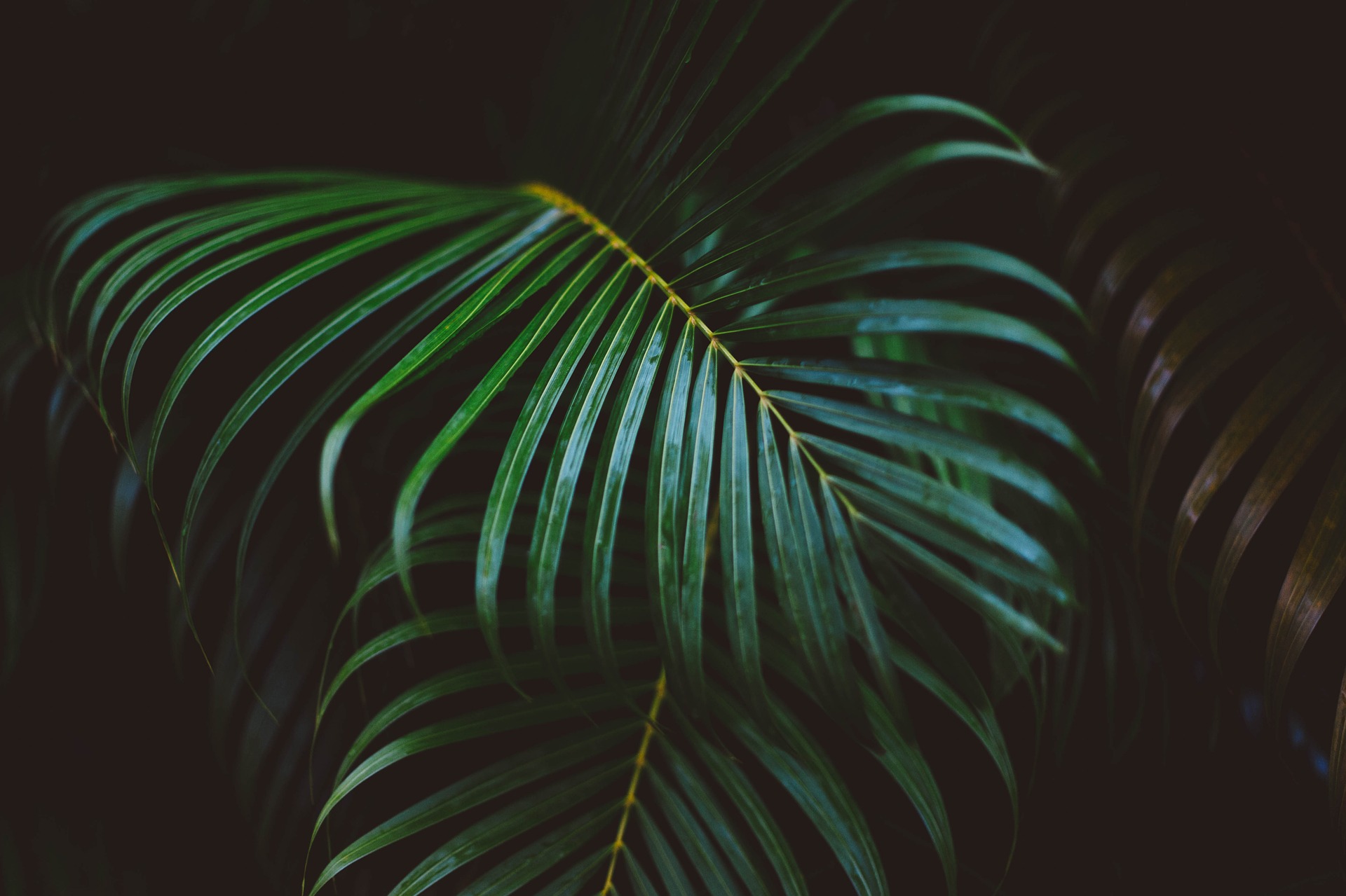 如何选择适合新站的网站自动推广软件：网站自动推广软件如何选择才不踩坑