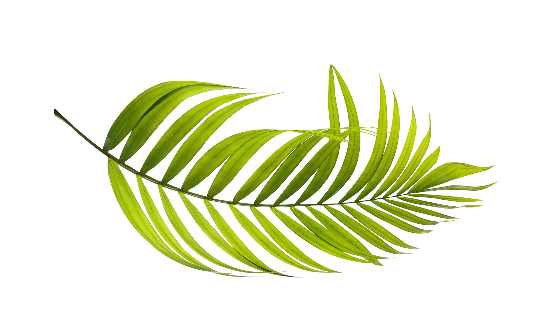 双人联机赛车游戏(马里奥赛车可以两个人用一个主机玩吗)
